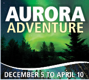 amazing_aurora